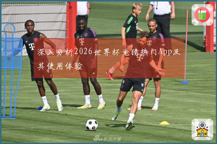 深入分析2026世界杯竞猜热门App及其使用体验