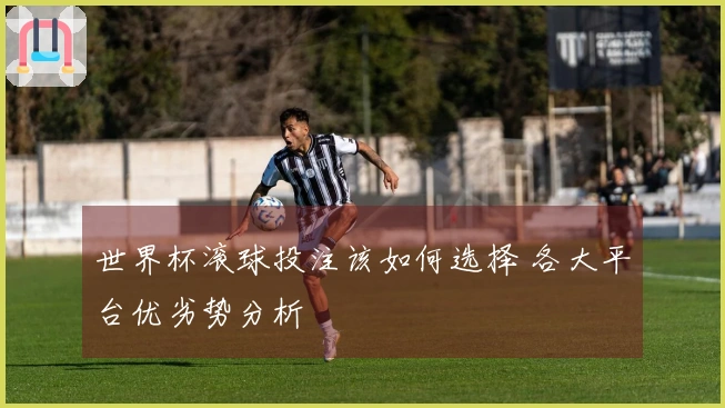 世界杯滚球投注该如何选择 各大平台优劣势分析