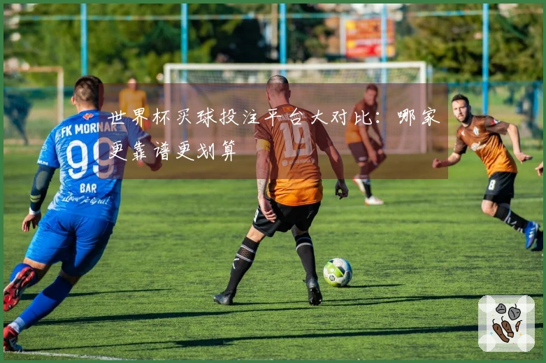 世界杯买球投注平台大对比：哪家更靠谱更划算