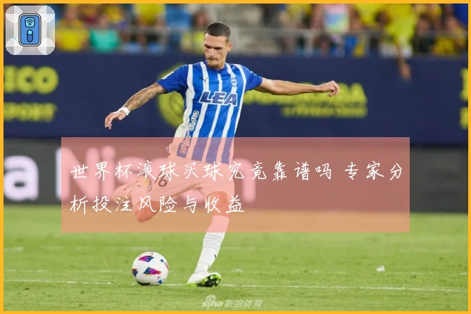世界杯滚球买球究竟靠谱吗 专家分析投注风险与收益