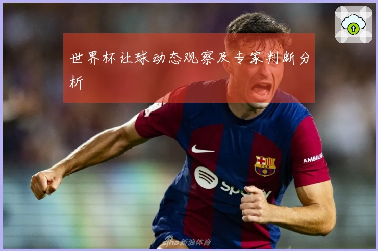 世界杯让球动态观察及专家判断分析