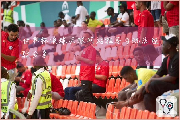 世界杯滚球买球网站推荐与玩法经验分享
