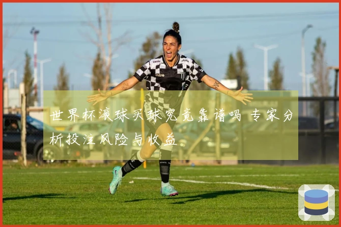 世界杯滚球买球究竟靠谱吗 专家分析投注风险与收益