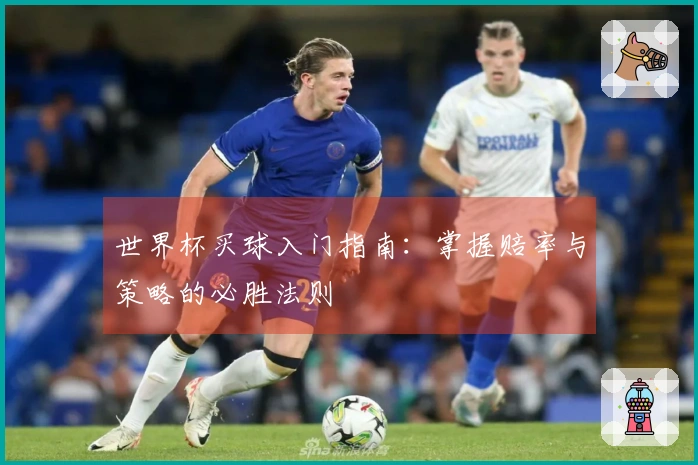 世界杯买球入门指南：掌握赔率与策略的必胜法则