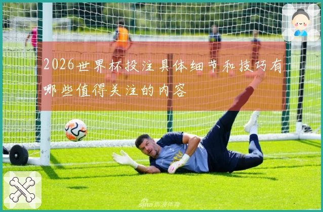 2026世界杯投注具体细节和技巧有哪些值得关注的内容