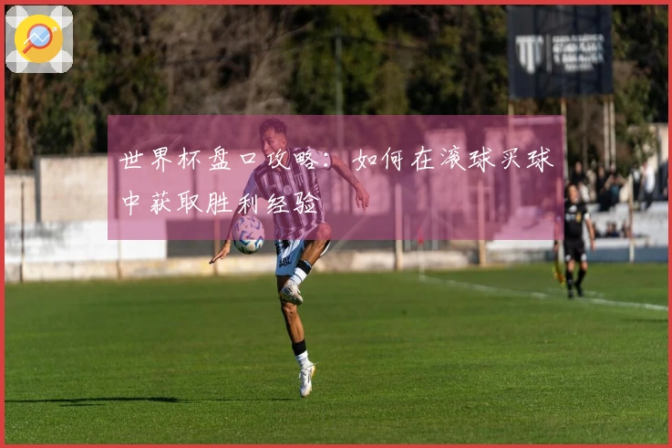 世界杯盘口攻略：如何在滚球买球中获取胜利经验