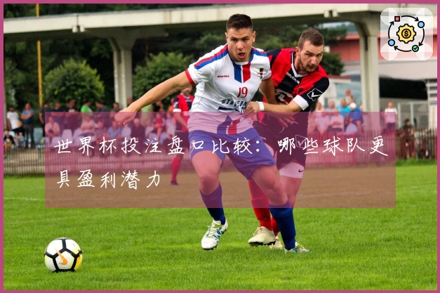世界杯投注盘口比较：哪些球队更具盈利潜力